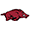 icon for arkansas basketball team