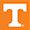 icon for tennessee basketball team