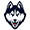 icon for uconn basketball team