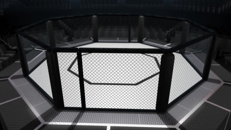UFC 295 Preview: Sergei Pavlovich vs. Tom Aspinall Prediction, Odds, and Picks (Nov 11)