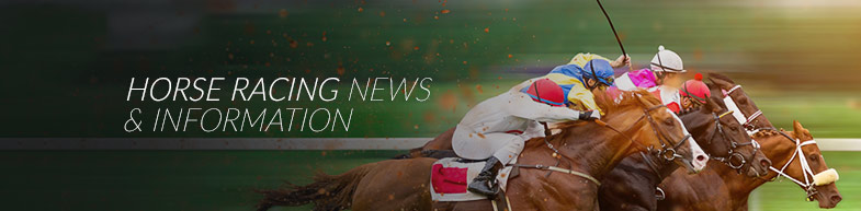 Horse Racing News and Information