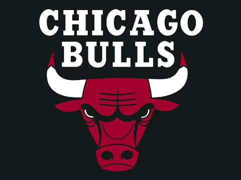 Chicago Bulls' team NBA logo