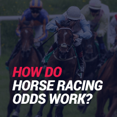 How Do Odds Work In Horse Racing?