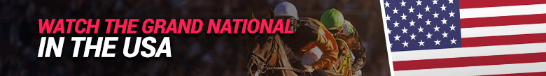 image of watching the grand national in the usa