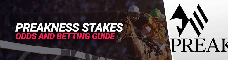 preakness stakes odds and betting guide header image