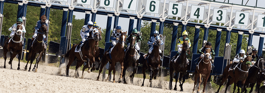 outsider-horse-racing-system-draw-positions