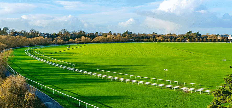 outsider-horse-racing-system