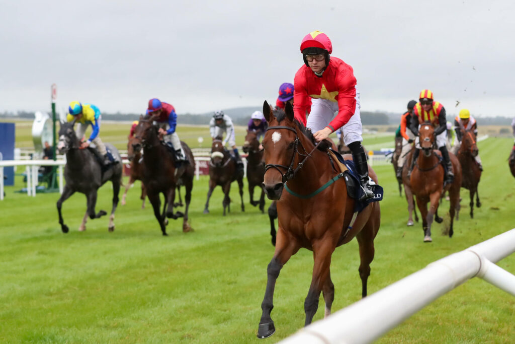 Royal Ascot Predictions: Day Five Preview, and Odds (June 24)