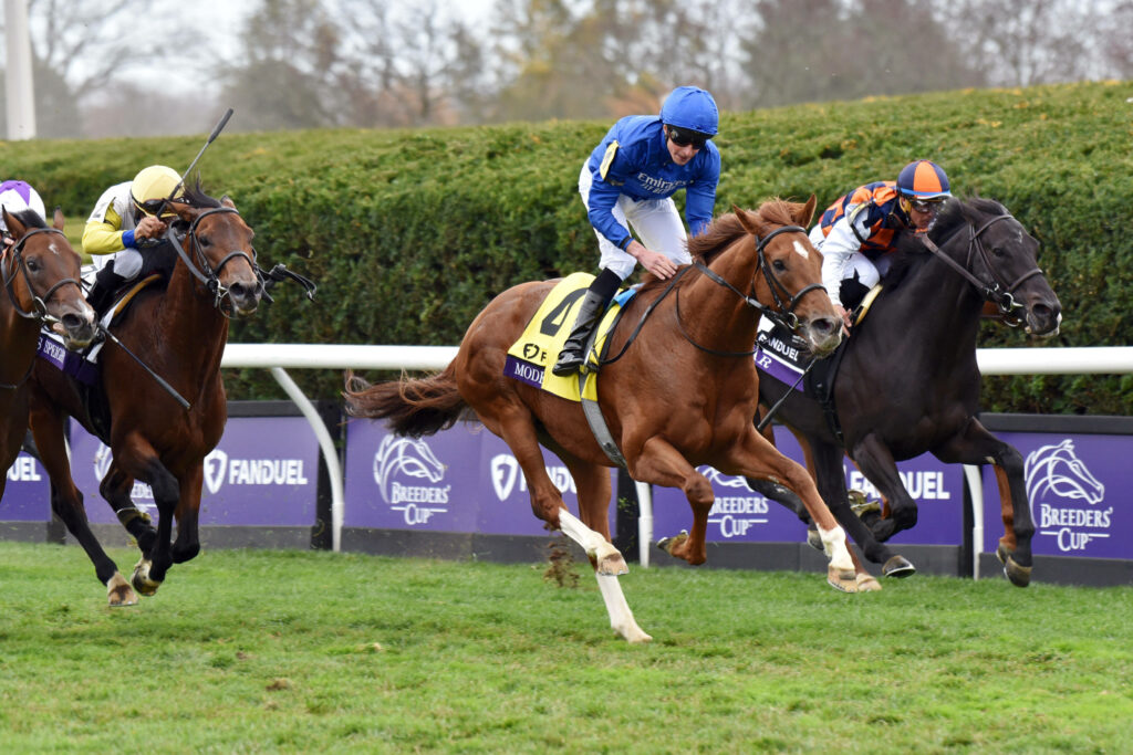 Royal Ascot Predictions: Day 1 Preview, Picks, and Odds (June 20)