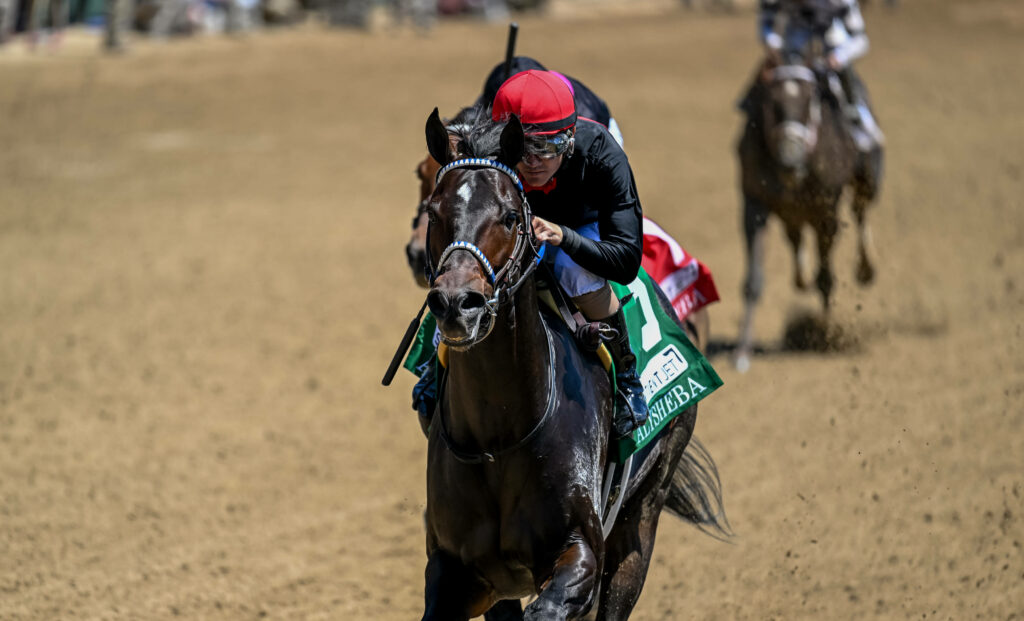Stephen Foster Stakes Prediction, Preview, and Odds (July 1)