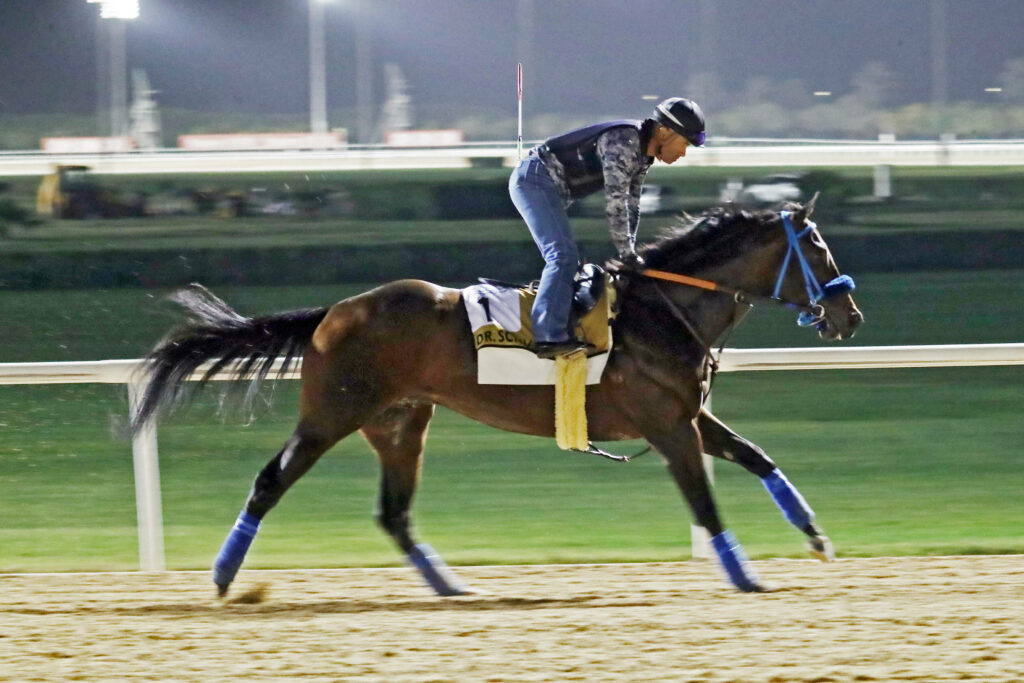 Bing Crosby Stakes Prediction, Preview, and Odds (July 29)