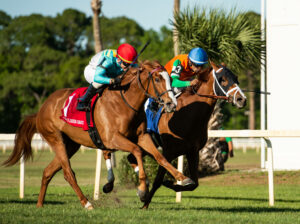 March 11, 2023, Tampa Bay, Florida, USA: March, 2023: Mission of Joy 1 ridden by jockey Antonio Gallardo wins the Florida Oaks Grade 3 at Tampa Bay Downs in Tampa, Florida on March 11th, 2023. e/CSM Tampa Bay USA - ZUMAcs17 20230311_zaf_cs17_010 Copyright: xCarsonxBlevins/EclipsexSportswirx