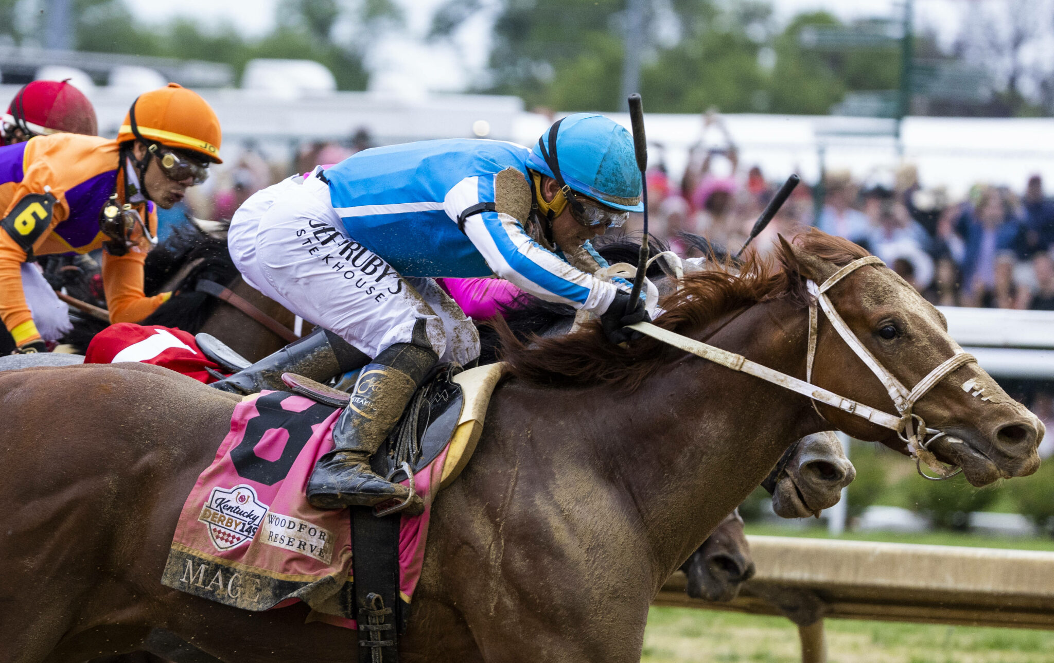 Haskell Stakes Prediction 🏇 Horse Racing Odds & Pick (July 22)