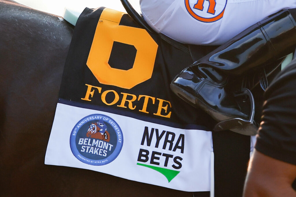 Jim Dandy Stakes Prediction, Preview, and Odds (July 29)