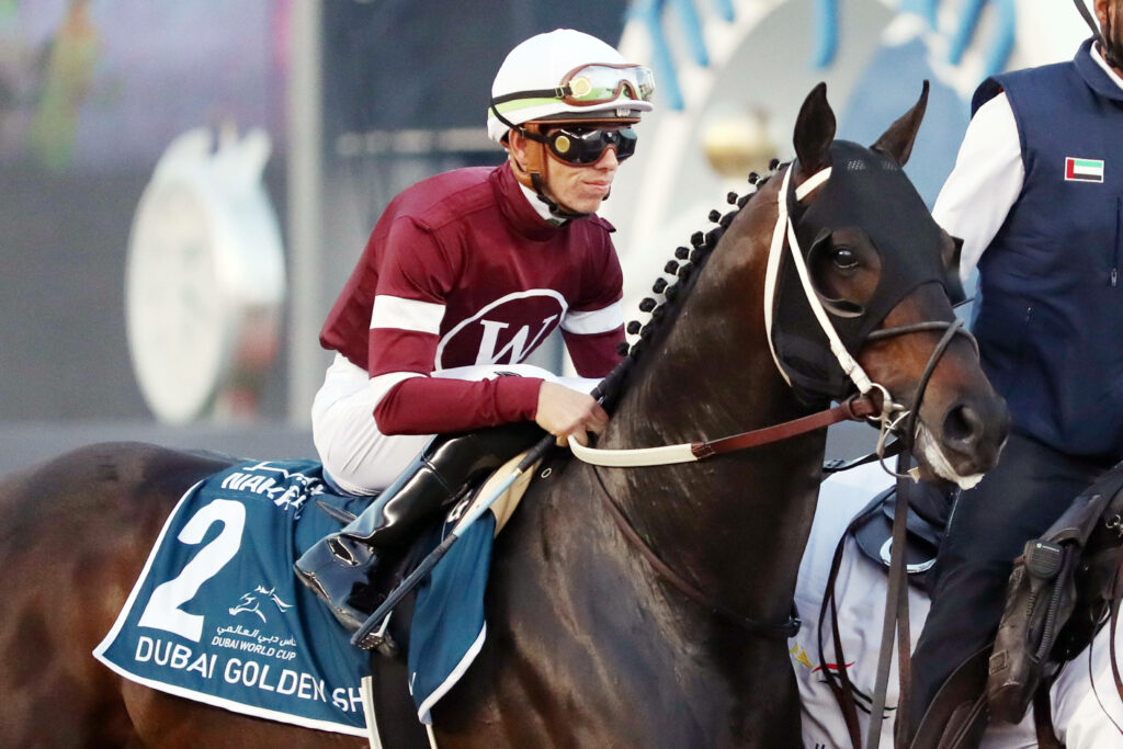 Horse Racing Picks: Forego Stakes Prediction, Preview, and Odds (Aug 26)