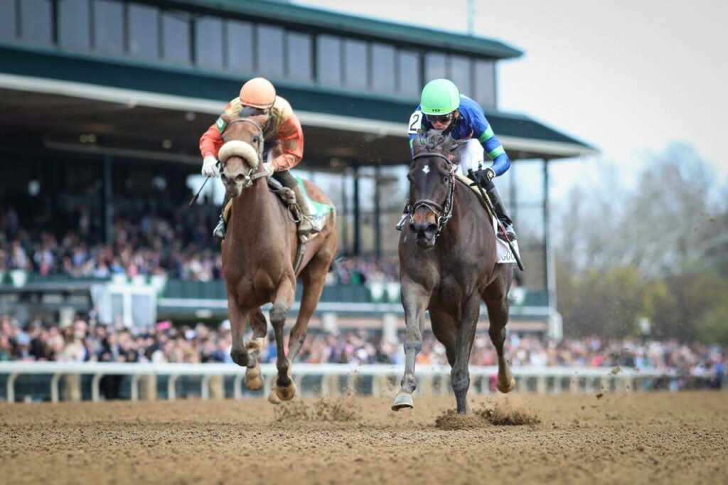 Horse Racing Picks: Ballerina Handicap Prediction, Preview, and Odds (Aug 26)