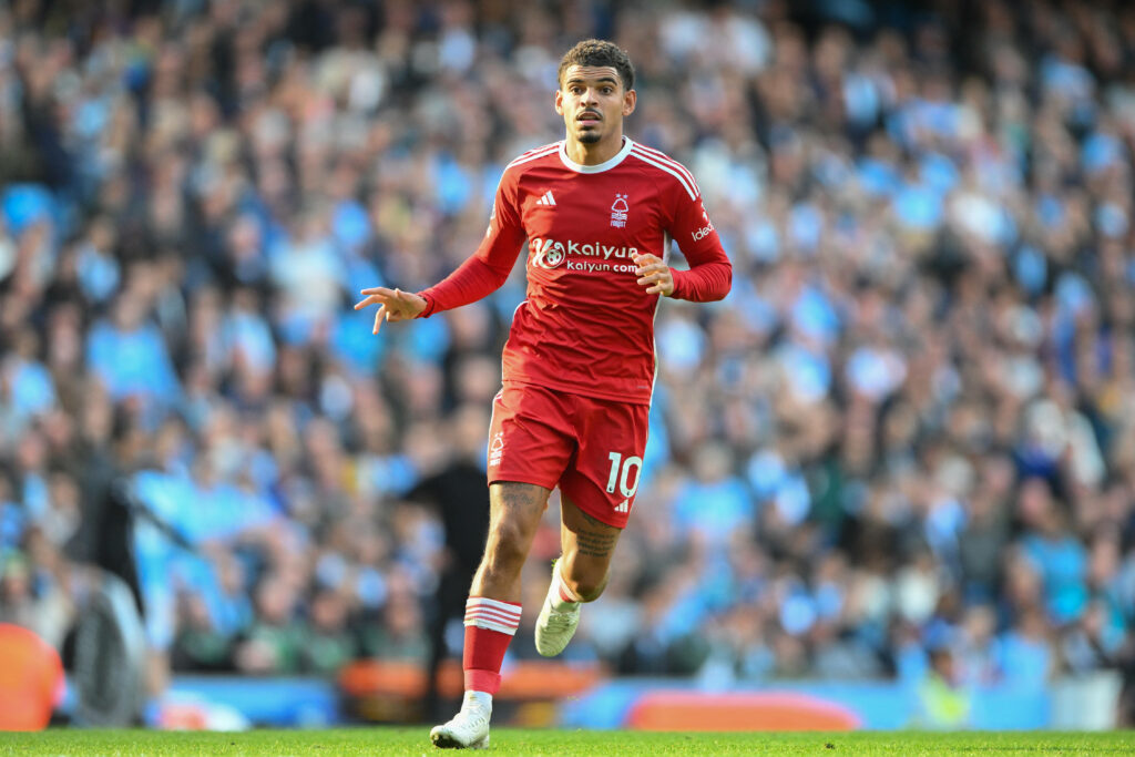 Premier League Preview: Nottingham Forest vs Brentford Prediction, Preview, and Odds (Oct 1)