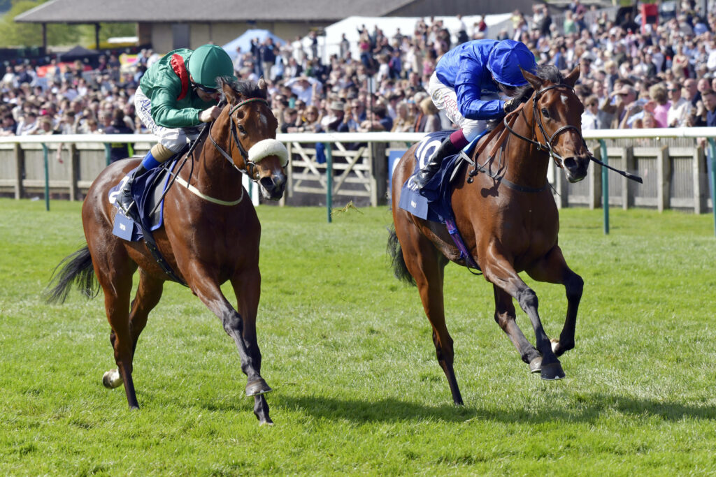 Horse Racing Picks: Queen Elizabeth II Challenge Cup Prediction, Preview, and Odds (Oct 14)