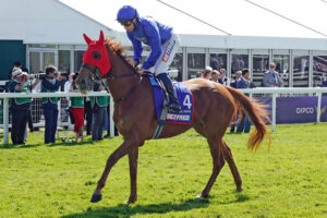 02.06.2023, Epsom, Surrey, GBR - Eternal Hope with William Buick. Epsom Downs racecourse. Pferd, Jockey, Eternal Hope, Buick, Aufgalopp 230602AH485EPSOM.JPG *** 02 06 2023, Epsom, Surrey, GBR Eternal Hope with William Buick Epsom Downs racecourse horse, jockey, Eternal Hope, Buick, gallop 230602AH485EPSOM JPG