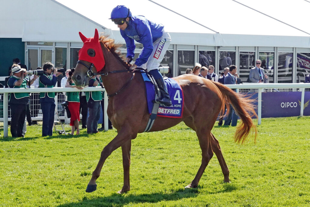 Horse Racing Picks: Sands Point Stakes Prediction, Preview, and Odds (Oct 14)