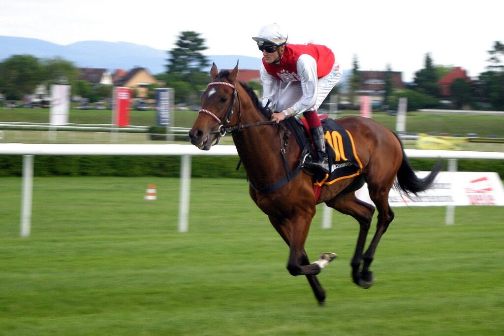 Horse Racing Picks: Melbourne Cup Prediction, Preview, and Odds (Nov 6)