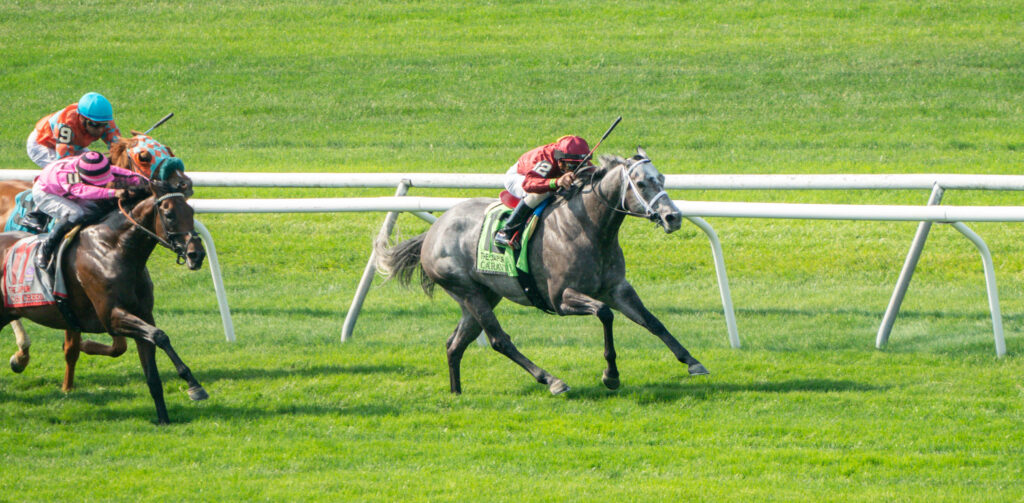 Breeders’ Cup Picks: Breeders’ Cup Turf Sprint Prediction, Preview, and Odds (Nov 4)