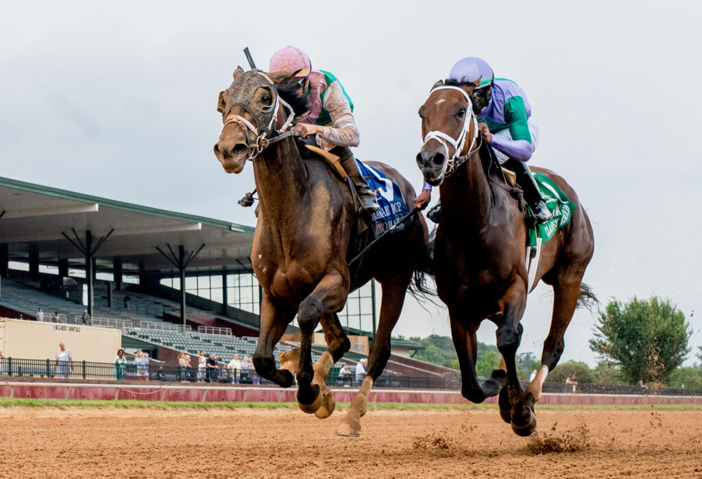Breeders’ Cup Picks: Breeders’ Cup Distaff Prediction, Preview, and Odds (Nov 4)