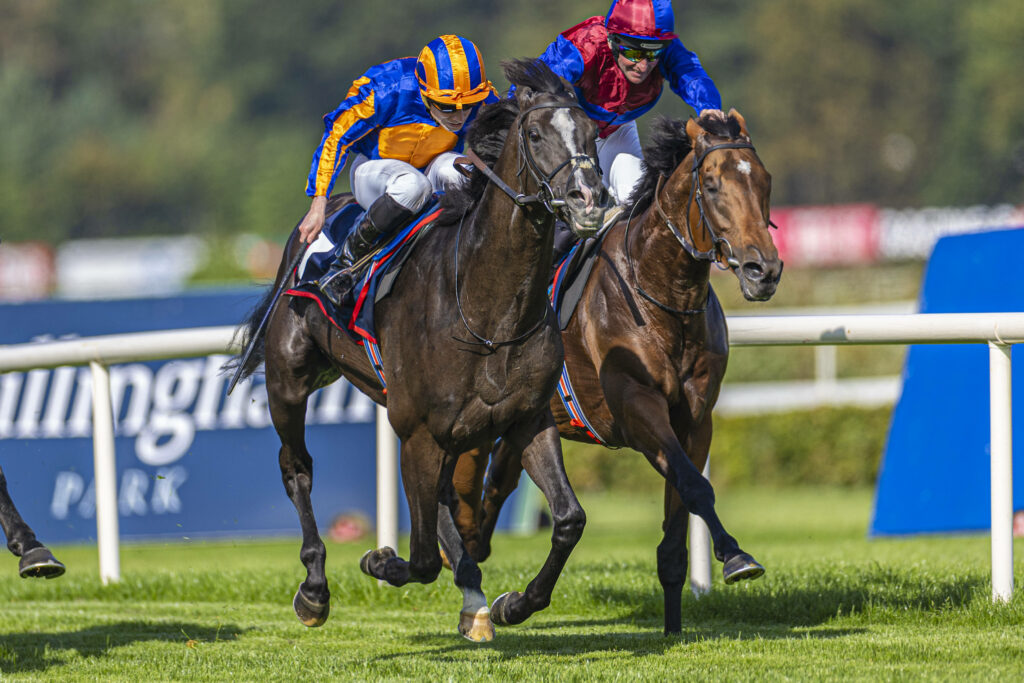 Breeders’ Cup Picks: Breeders’ Cup Turf Prediction, Preview, and Odds (Nov 4)