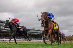 Horse Racing 2023: Queen Elizabeth II Challenge Cup Stakes Day OCT 14 October 14, 2023, Lexington, Kentucky, USA: Mawj IRE 4 ridden by Oisin Murphy wins the Queen Elizabeth II Challenge Cup Stakes Grade 1 at Keeneland Racecourse in Lexington, Kentucky on October 14, 2023. Carson Blevins/Eclipse Sportswire/CSM/Sipa USACredit Image: Carson Blevins/Cal Media/Sipa USA Lexington Keeneland Racecourse Kentucky USA NOxUSExINxGERMANY PUBLICATIONxINxALGxARGxAUTxBRNxBRAxCANxCHIxCHNxCOLxECUxEGYxGRExINDxIRIxIRQxISRxJORxKUWxLIBxLBAxMLTxMEXxMARxOMAxPERxQATxKSAxSUIxSYRxTUNxTURxUAExUKxVENxYEMxONLY Copyright: xCalxSportxMediax Editorial use only