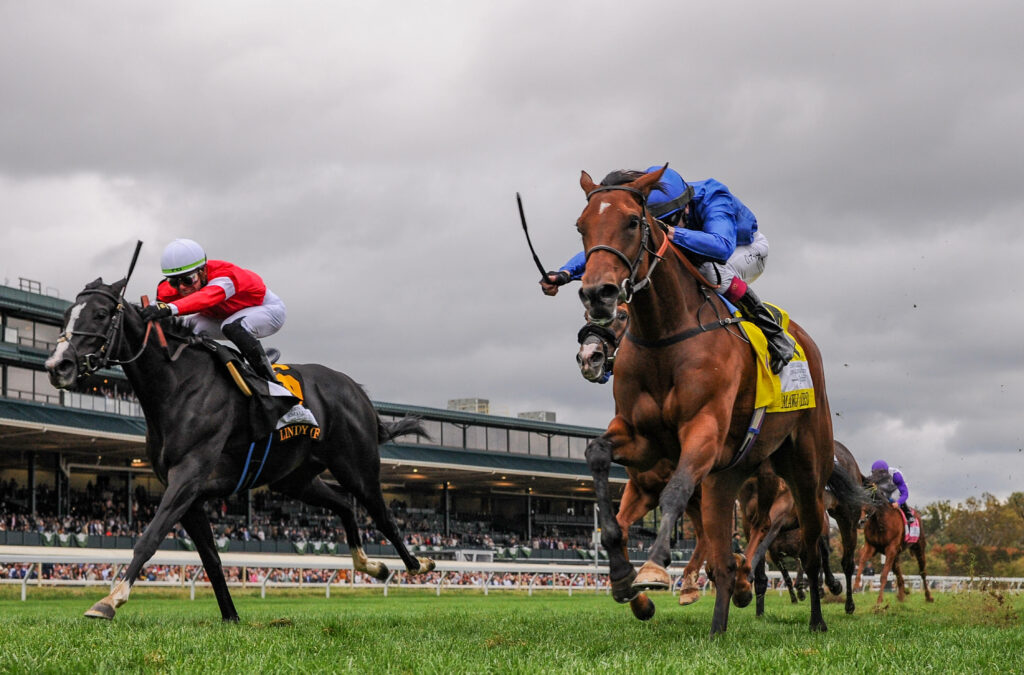 Breeders’ Cup Picks: Breeders’ Cup Mile Prediction, Preview, and Odds (Nov 4)