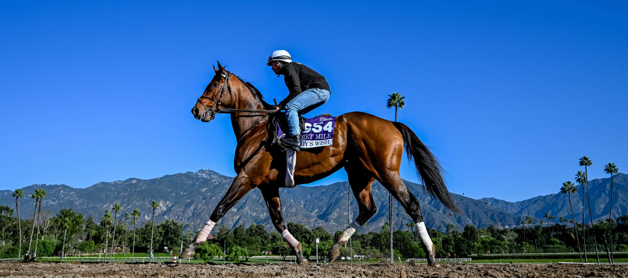 Breeders’ Cup Dirt Mile Prediction 🏇 Odds & Pick (Nov 4)