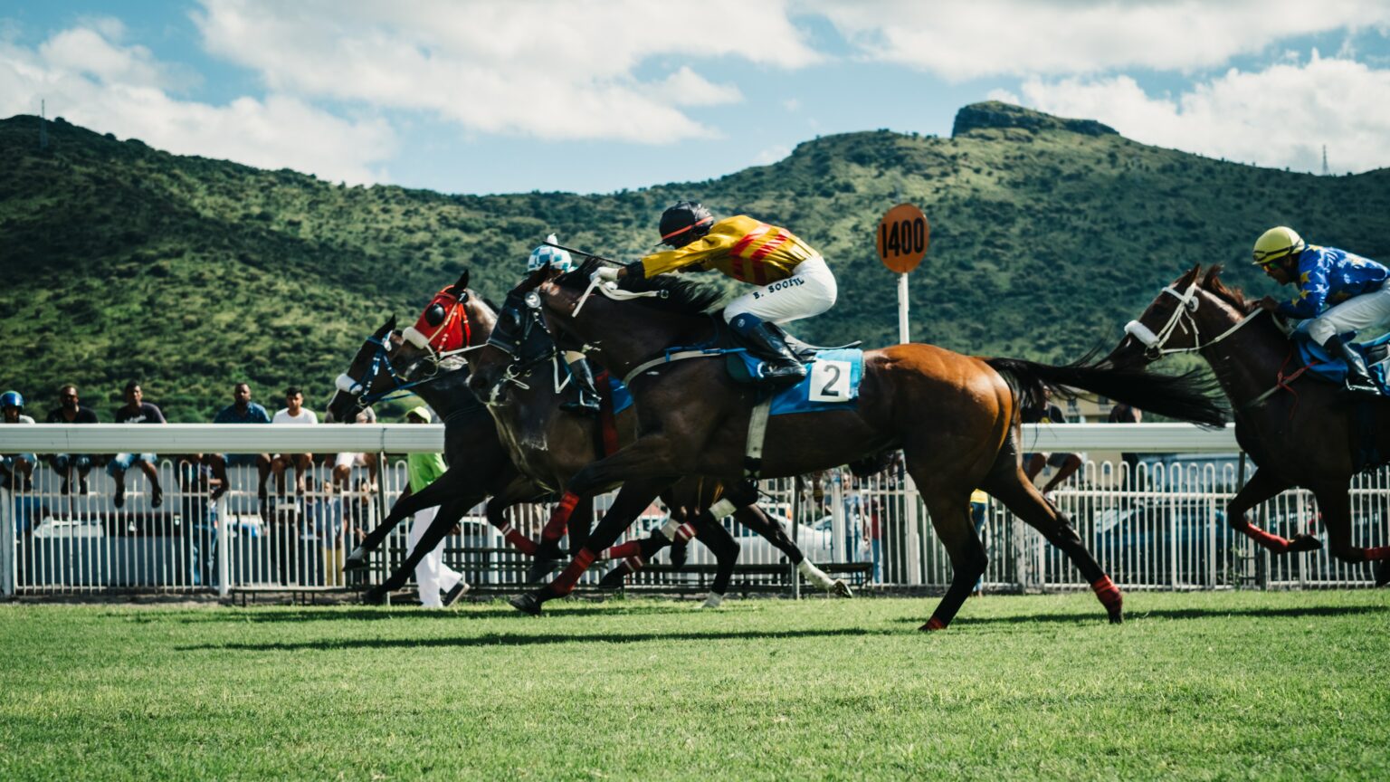 Breeders’ Cup Juvenile Turf Picks 🏇 Horse Racing Odds (Nov 1)