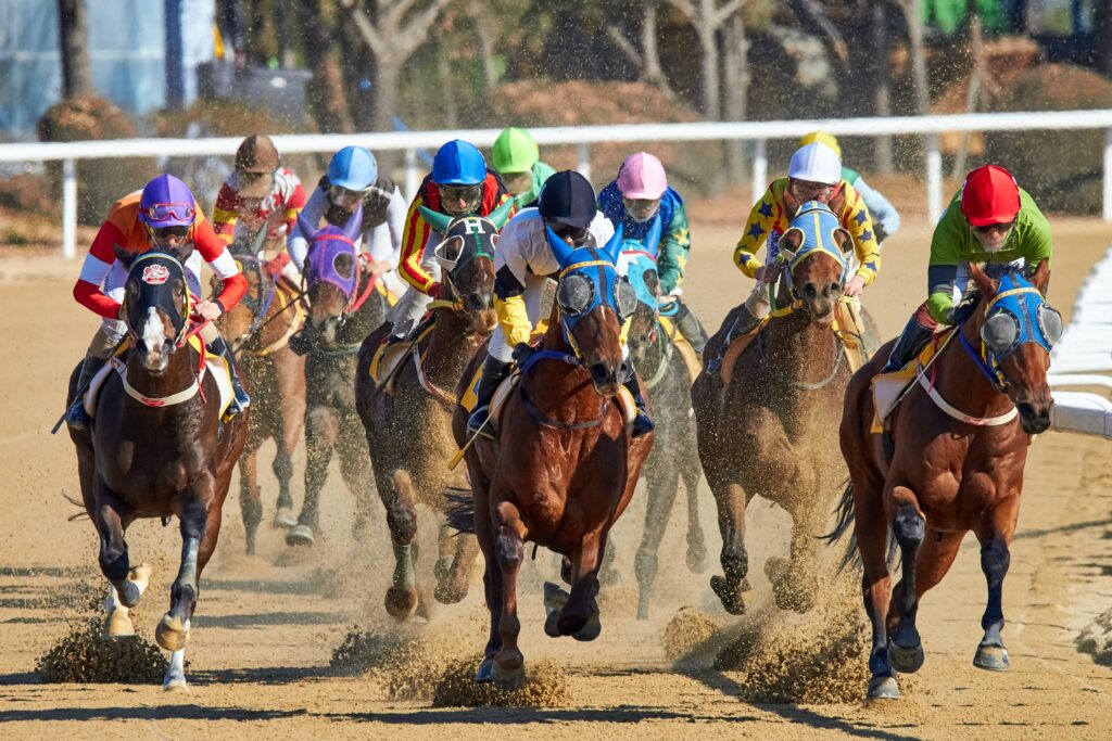 Horse Racing Picks: Robert B. Lewis Stakes Prediction, Preview, and Odds (Feb 3)