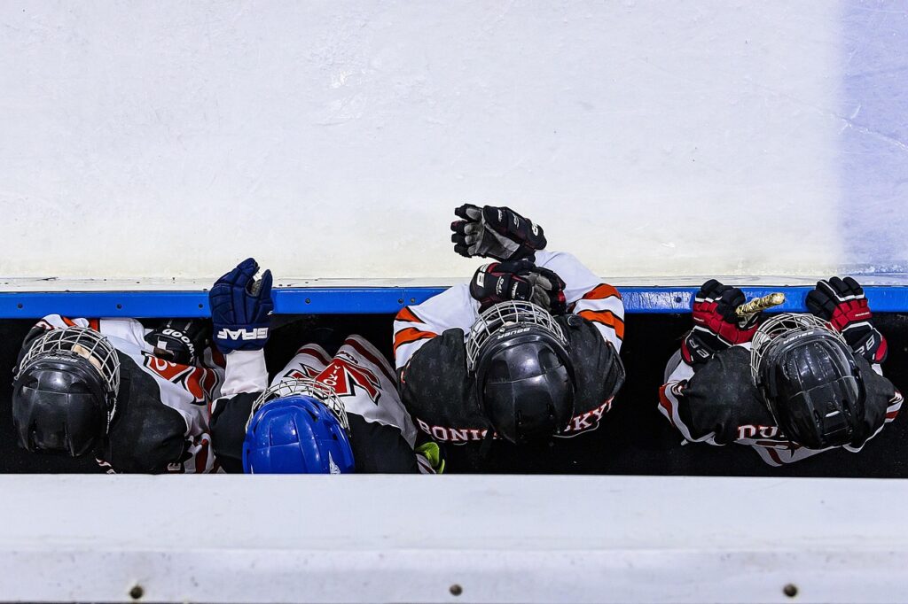 Dallas Stars vs. Edmonton Oilers