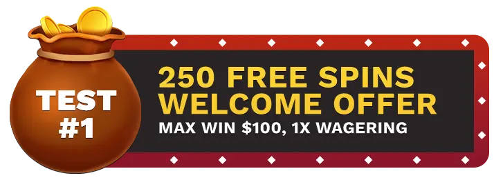 Image of Wild Casino 250 Free Spins Welcome Offer, showing a money bag with coins in it on top of a vegas style sign.