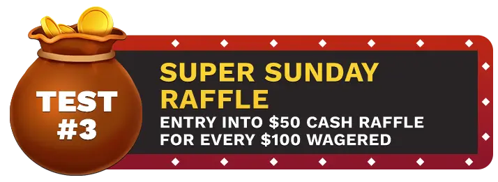 Image of Wild Casino Super Sunday Raffle bonus, showing a money bag with coins in it on top of a vegas style sign.