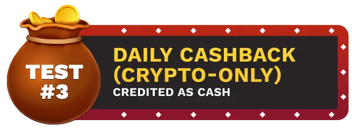 Image of Ducky Lucks Casino's Daily Cashback (Crypto-Only) showing a money bag with coins in it on top of a vegas style sign.