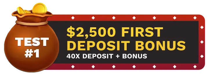 Image of Vegas Aces Casino's $2500 First Deposit Bonus showing a money bag with coins in it on top of a vegas style sign.