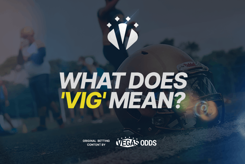what-does-vig-mean
