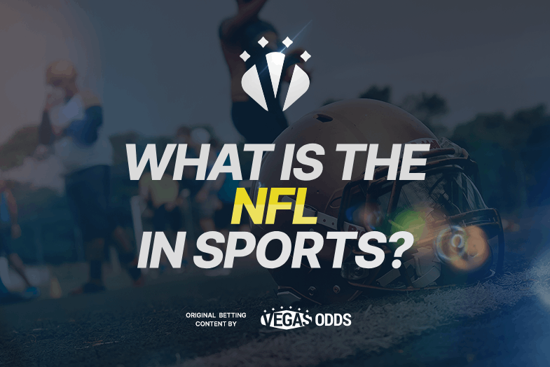 what-is-the-nfl-in-sports
