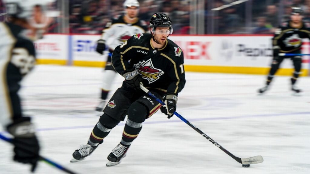 NHL: Mammoth vs. Ducks Preview, Odds, and Picks (Dec 3)