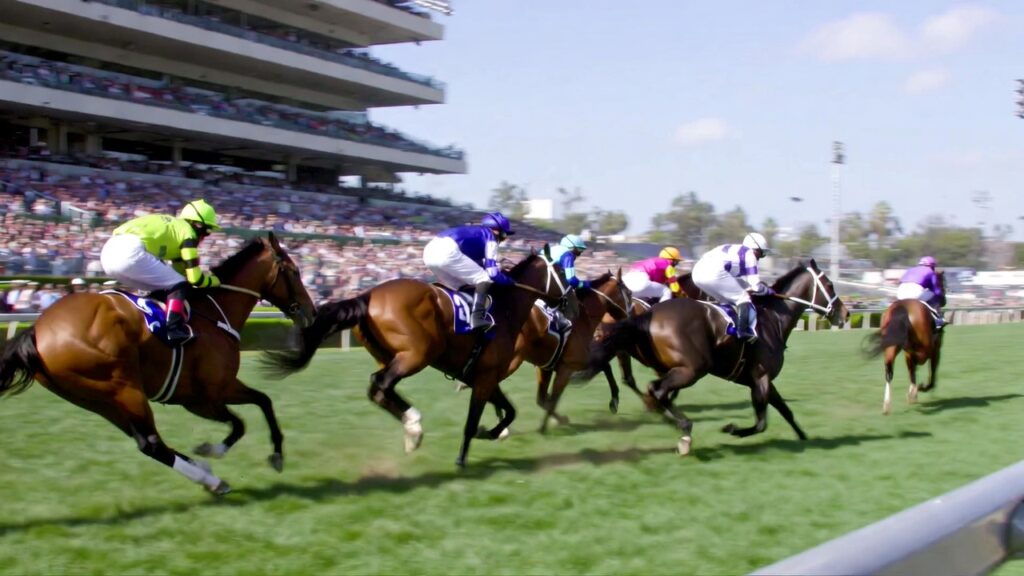 American Oaks Preview, Odds, and Picks (Dec 28)