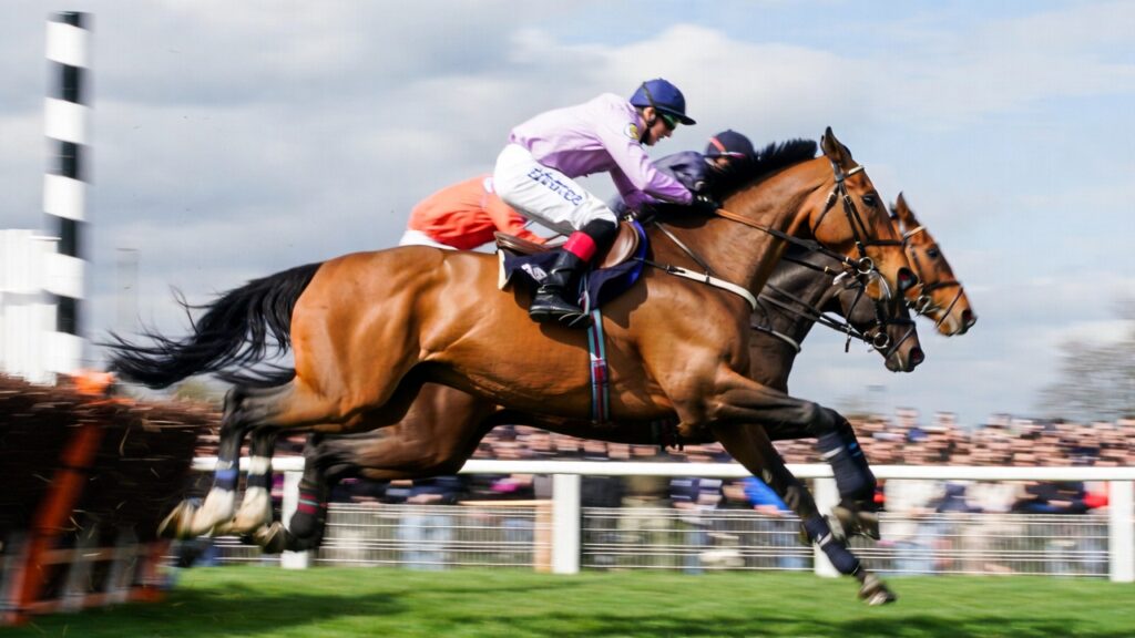 Cheltenham Festival Day 3 Picks, Schedule & Preview